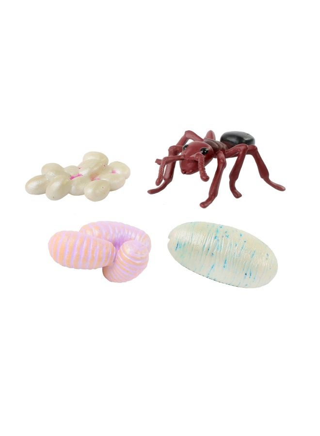 Insect Lore 4-Piece Ant Life Cycle Figurines 06110 - Image 2