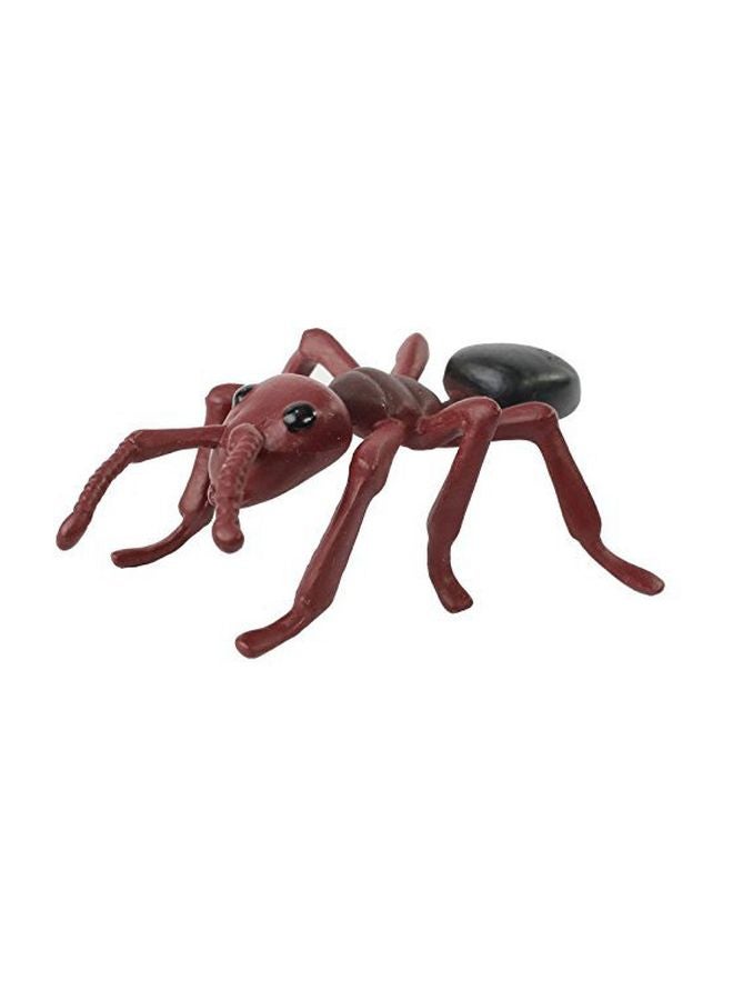 Insect Lore 4-Piece Ant Life Cycle Figurines 06110 - Image 3