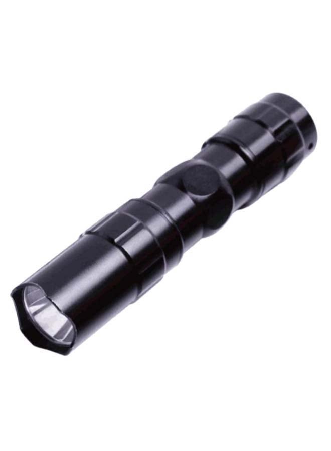 Mini Waterproof Flashlight With Lanyard Black/Clear