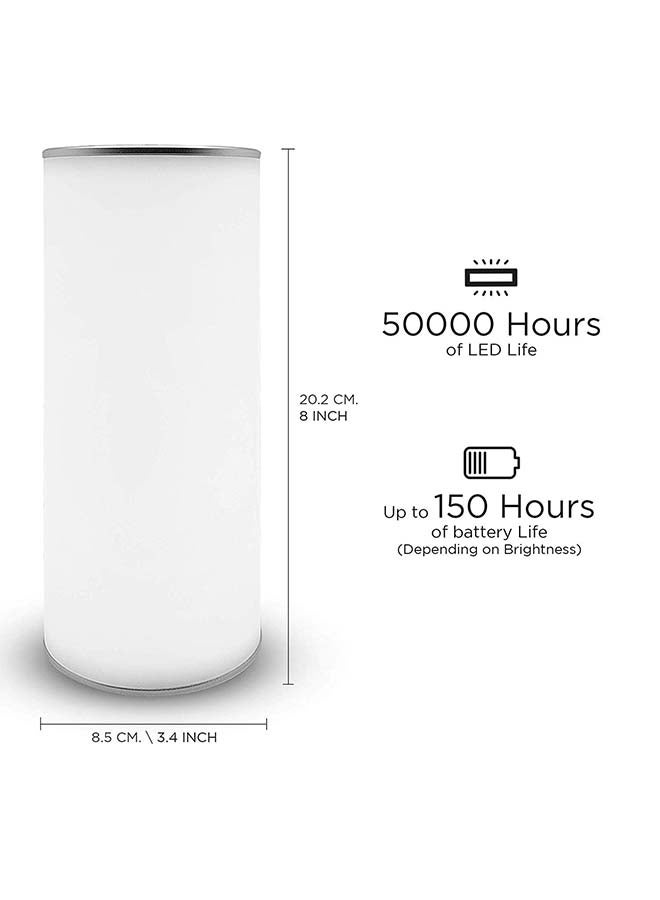 Esky Rotating Reverse Lamp Silver 8 x 3.4 x 3.4inch - Image 3