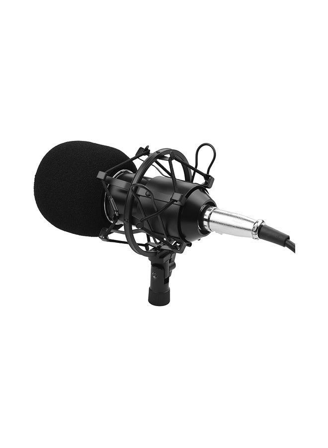Professional Cardioid Condenser Microphone BM-800 Silver/Black - Image 2