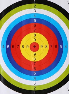 Generic 20-Piece Archery Arrow Target Paper Dartboard Set 45 x 45cm  - Image 2