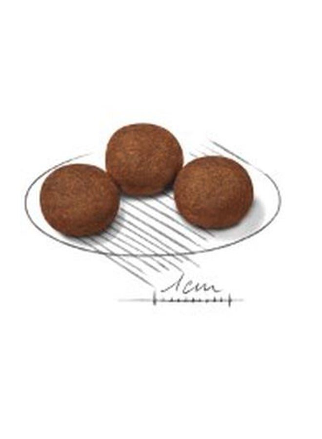 ROYAL CANIN Medium Puppy Dry Food Brown 10000grams - Image 3