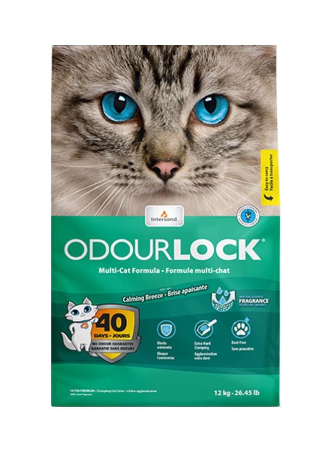 INTERSAND Odour Lock Clumping Litter 12kg - Image 1