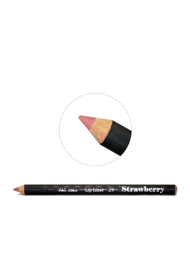 Lip Liner Pencil No.29 Light Brown - v1579883169/N33905550A_2