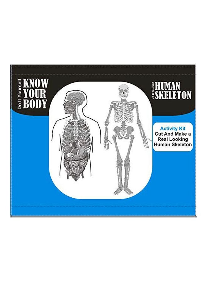 StepsToDo Human Skeleton - Image 3