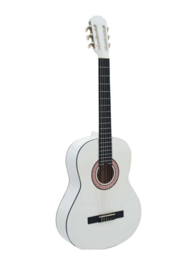 Classic Acoustic Guitar