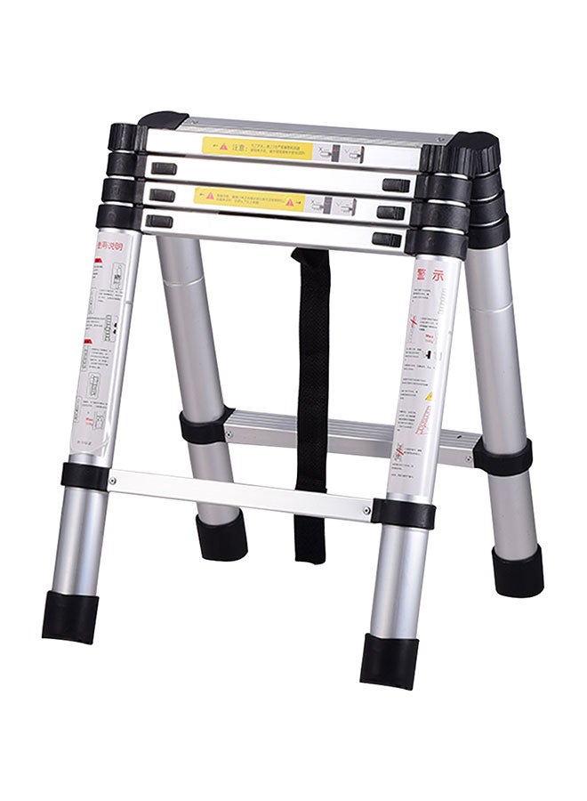 Generic - Portable Multi-Use Extension Telescopic Ladder Silver 2.9meter - Image 1