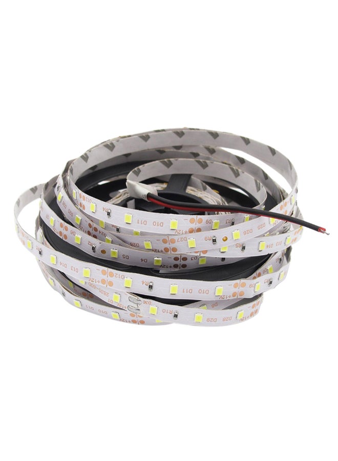 شريط إضاءة 3528 مرن ومضاد للماء مزود ب 300 مصباح LED أحمر 5متر - Image 2