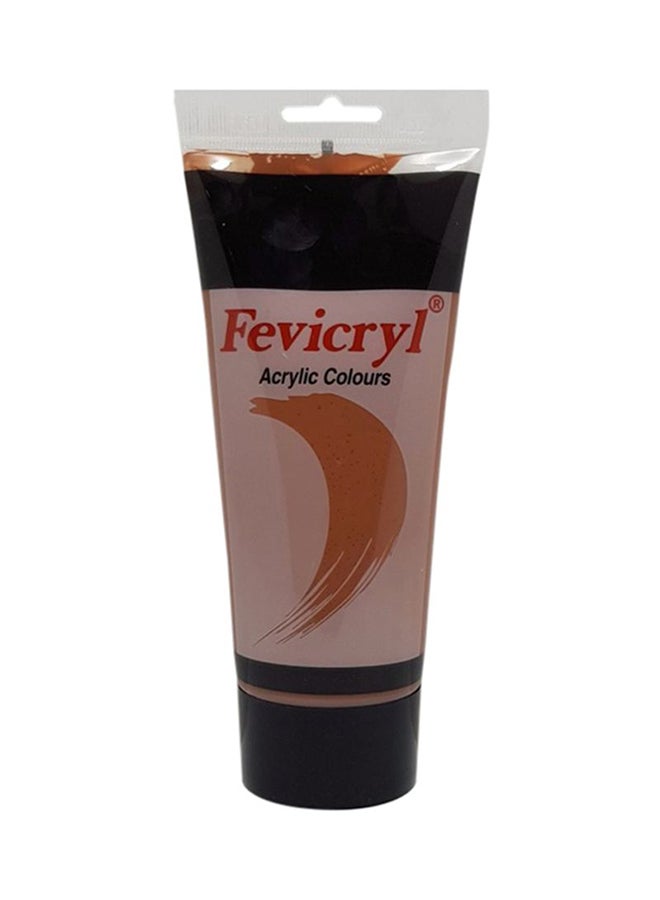 Acrylic Colour 200ml Raw Sienna