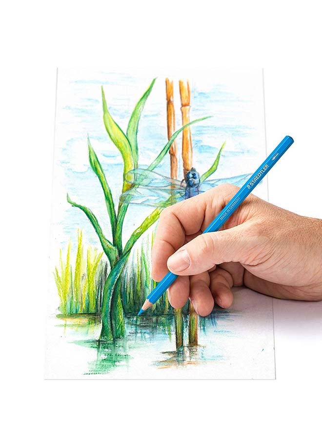 STAEDTLER 12-Piece Aquarell Watercolor Pencil Multicolour - Image 3