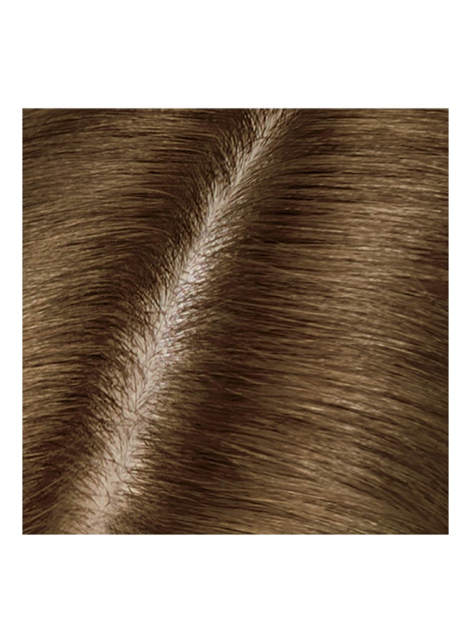 CLAIROL - Pack Of 2 Permanent Easy Root Touch-Up 5G Kit Medium Golden Brown 6.37X2.4X2.4inch - Image 1