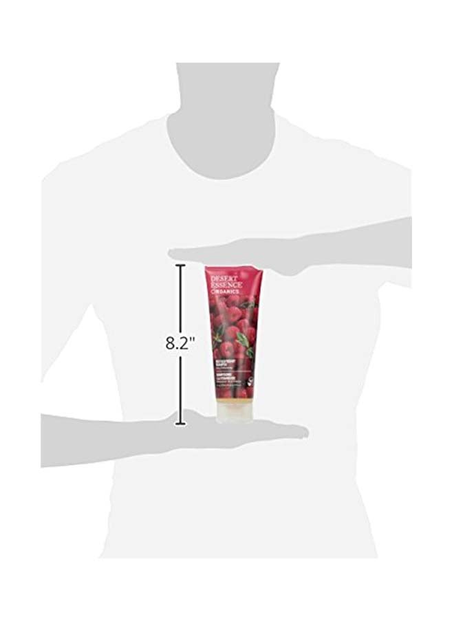 شامبو بتوت العليق الأحمر العضوي - Image 3