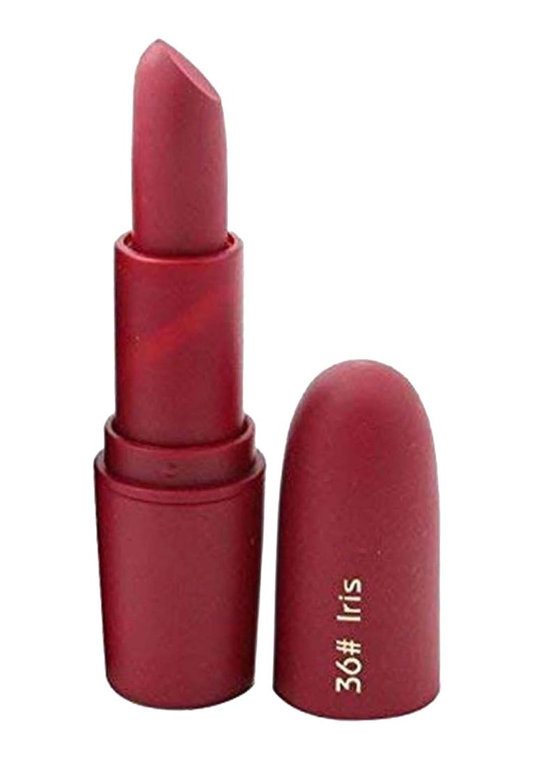 Professional Waterproof Bullet Matte Lipstick 36 Iris