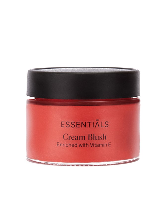 ESSENTIALS Cream Blush Enriched With Vitamin E Candy Rose Shade 1 