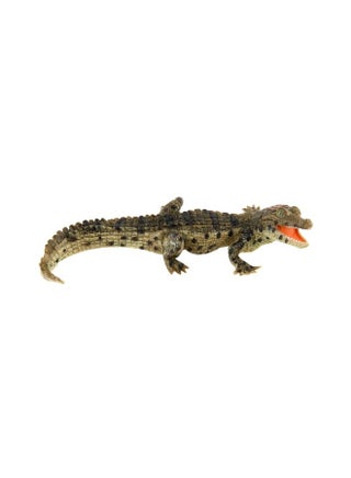Papo Baby Crocodile Figure 50137 Best Price KSA Riyadh, Jeddah