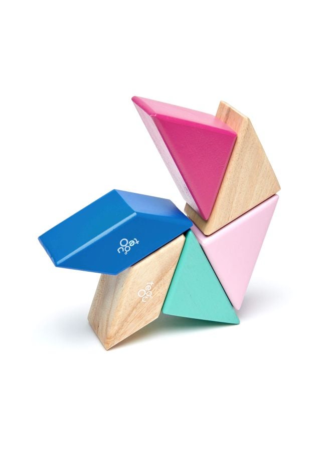 Tegu 6-Piece Prism Magnetic Wooden Block Set PPP-BSM-607T - Image 2