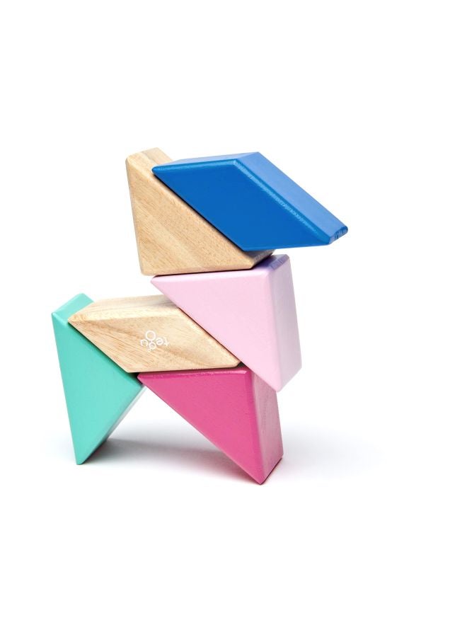 Tegu 6-Piece Prism Magnetic Wooden Block Set PPP-BSM-607T - Image 3