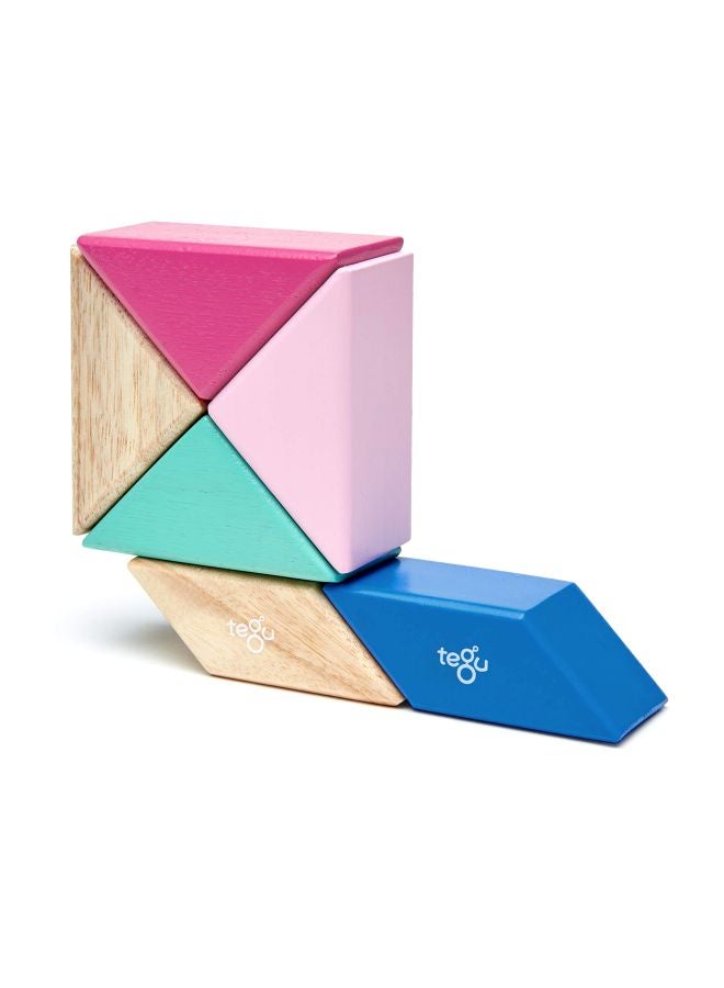 Tegu 6-Piece Prism Magnetic Wooden Block Set PPP-BSM-607T - Image 4