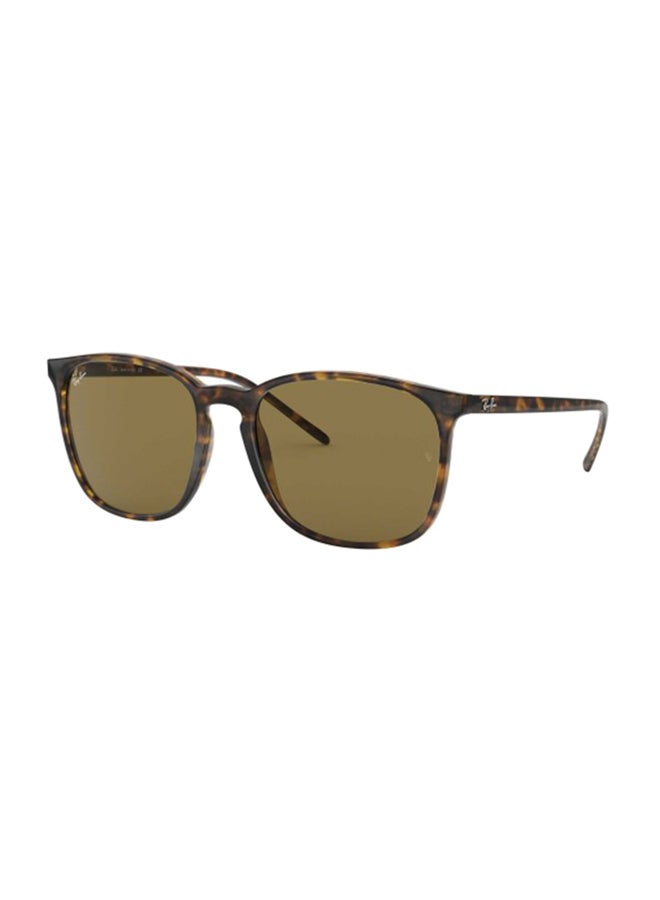 Ray-Ban Women's Square Sunglasses - RB4387 710/73 - Lens Size: 56 mm - Brown - Image 1