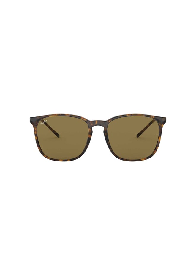 Ray-Ban Women's Square Sunglasses - RB4387 710/73 - Lens Size: 56 mm - Brown - Image 2