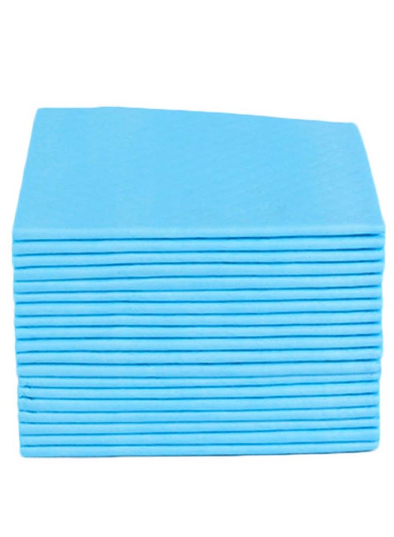 20-Piece Absorbent Disposable Pet Pee Pads Set Light Blue/White 60 x 90centimeter