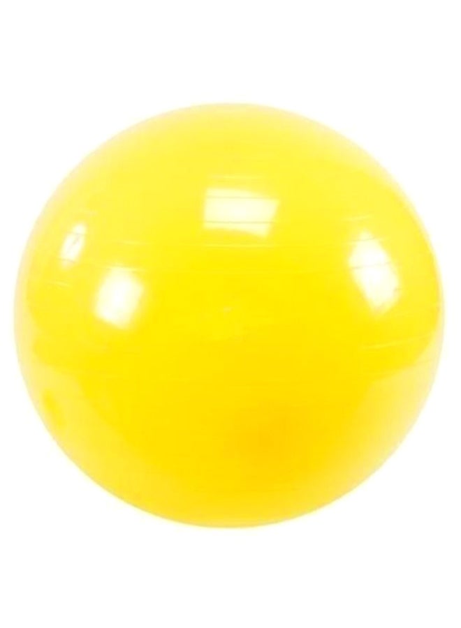 Stability Pilates Swiss Ball With Air Pump 65cm - Image 2