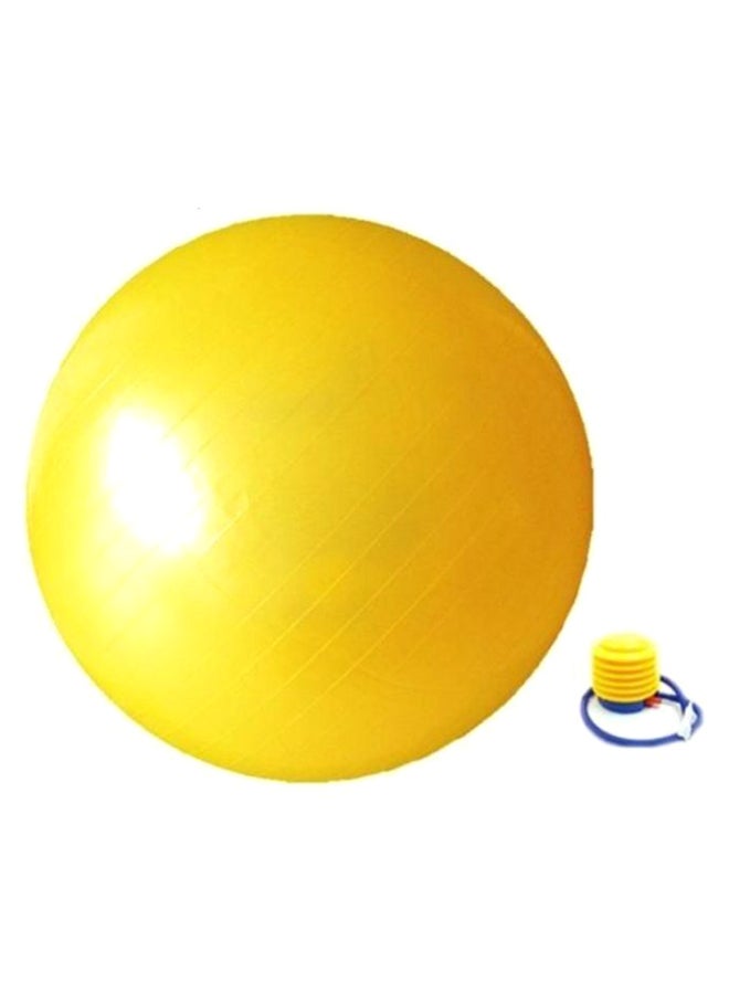 Stability Pilates Swiss Ball With Air Pump 65cm - Image 1