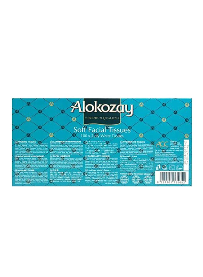 Alokozay Soft Facial Tissues, 100-Piece (Pack Of 6) White - Image 4