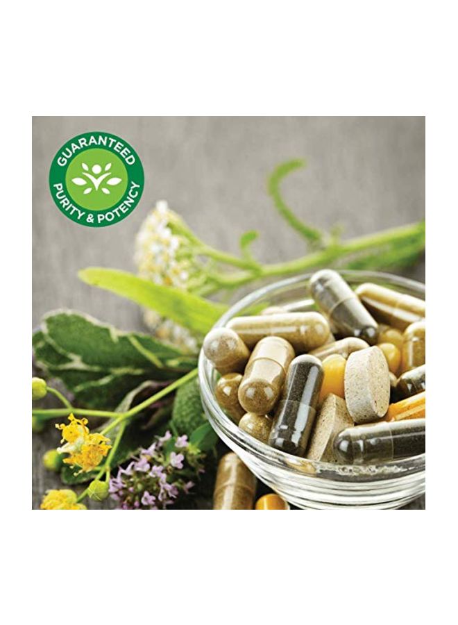 SWANSON Green Lipped Mussel Dietary Supplement - 60 Capsules - Image 4