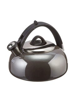Cuisinart Porcelain Tea Kettle Graphite Grey 8.5x8.6x7.9inch  - Image 1