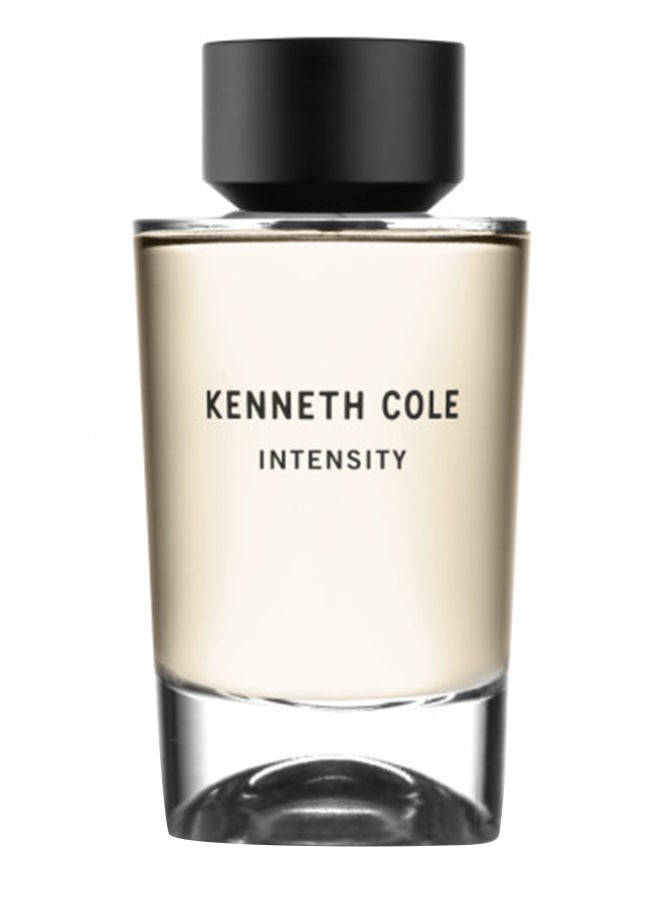 Kenneth Cole - Intensity EDT 100ml - Image 1