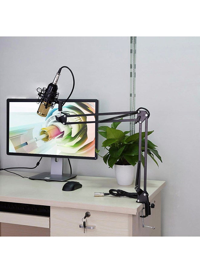 Professional Stream Broadcasting Recording Condenser Microphone Kit Silver/Black - Image 4