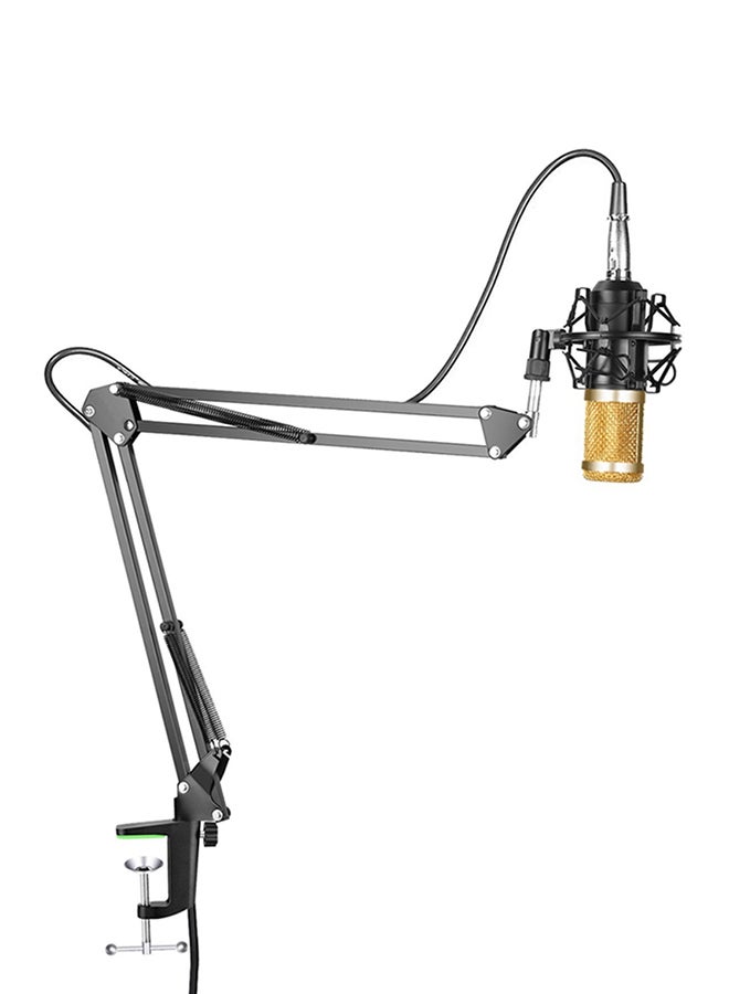 Professional Stream Broadcasting Recording Condenser Microphone Kit Silver/Black - Image 3