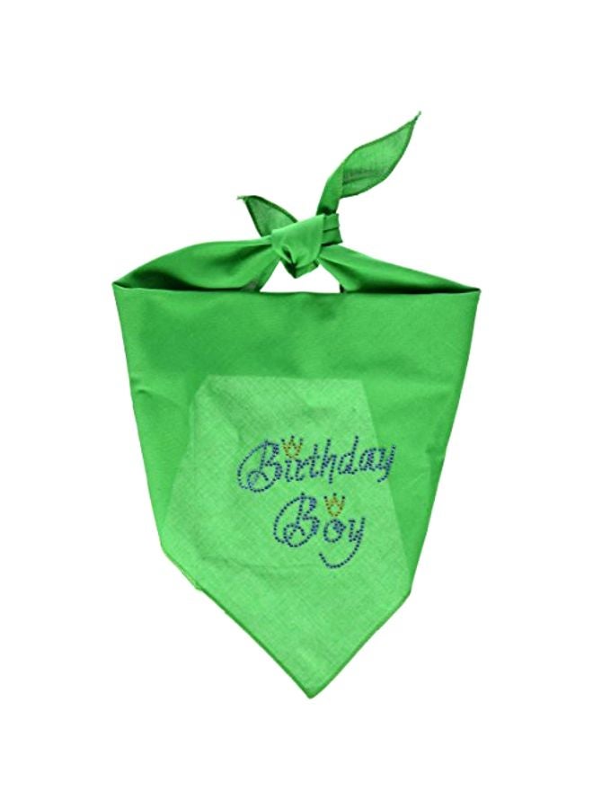 Mirage Pet Products Birthday Boy Printed Bandana Green L