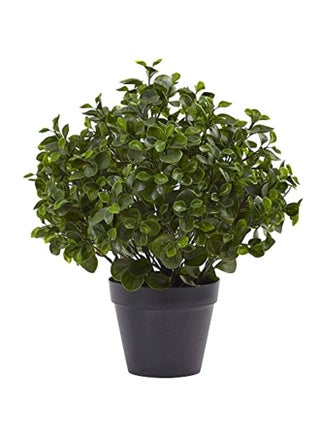Peperomia UV Resistant Artificial Plant Green/Black - v1581351500/N34381768A_1