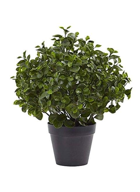 Peperomia UV Resistant Artificial Plant Green/Black