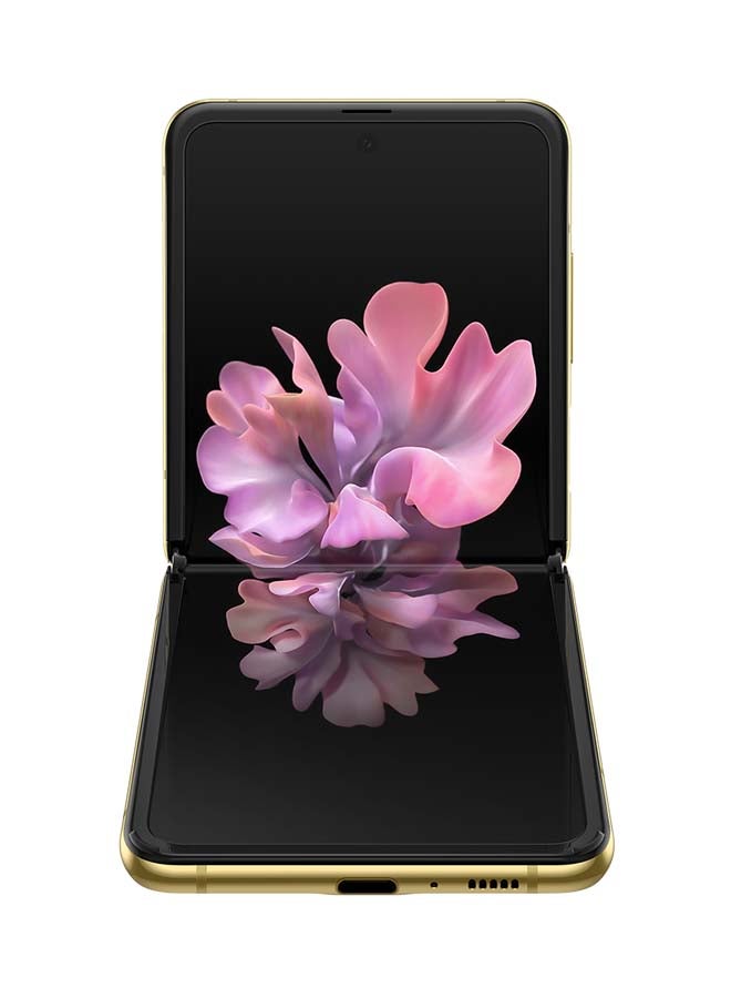 سامسونج هاتف جالاكسي زد فليب لون ذهبي بذاكرة رام سعة 8 جيجابايت وذاكرة داخلية سعة 256 جيجابايت ومزود بتقنية 4G LTE - إصدار الإمارات العربية المتحدة - Image 4