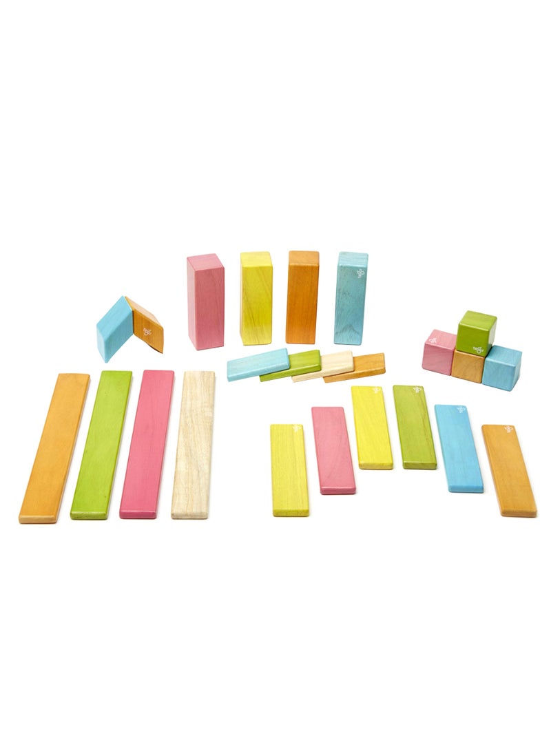 Tegu 24-Piece Magnetic Wooden Block Set 14.2 x 10.2inch - Image 1