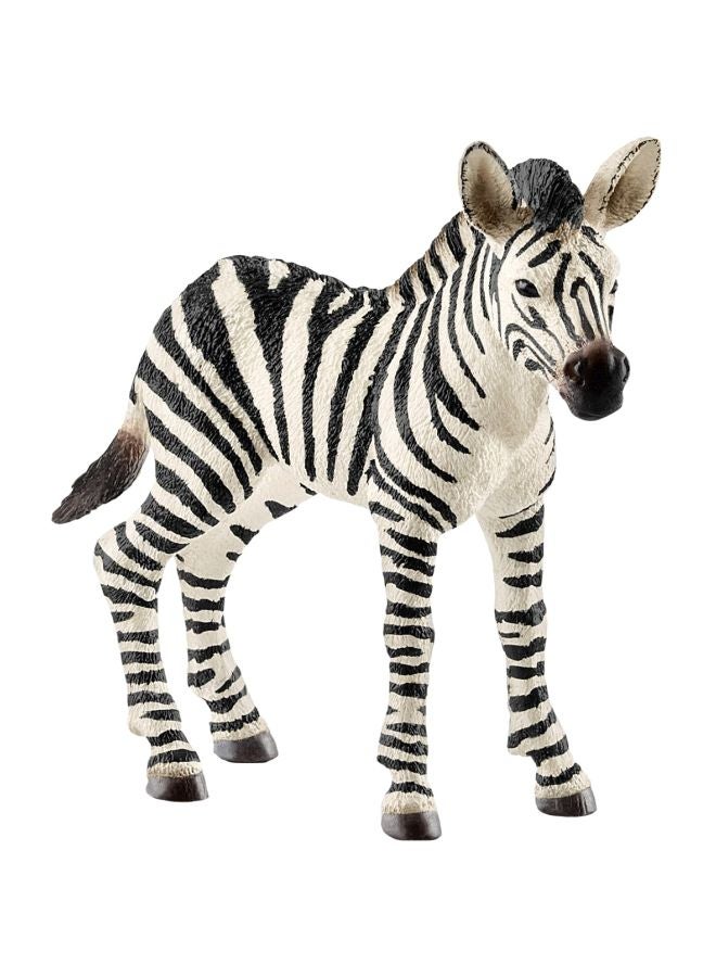 Schleich Zebra Foal Toy Figurine 14811 
