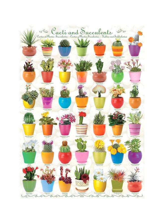 يورو جرافيكس لعبة أحجية الصور المقطعة بتصميم على شكل الصبار والنباتات العصارية، مكونة من 1000 قطعة، بطراز 6000-0654 - Image 2