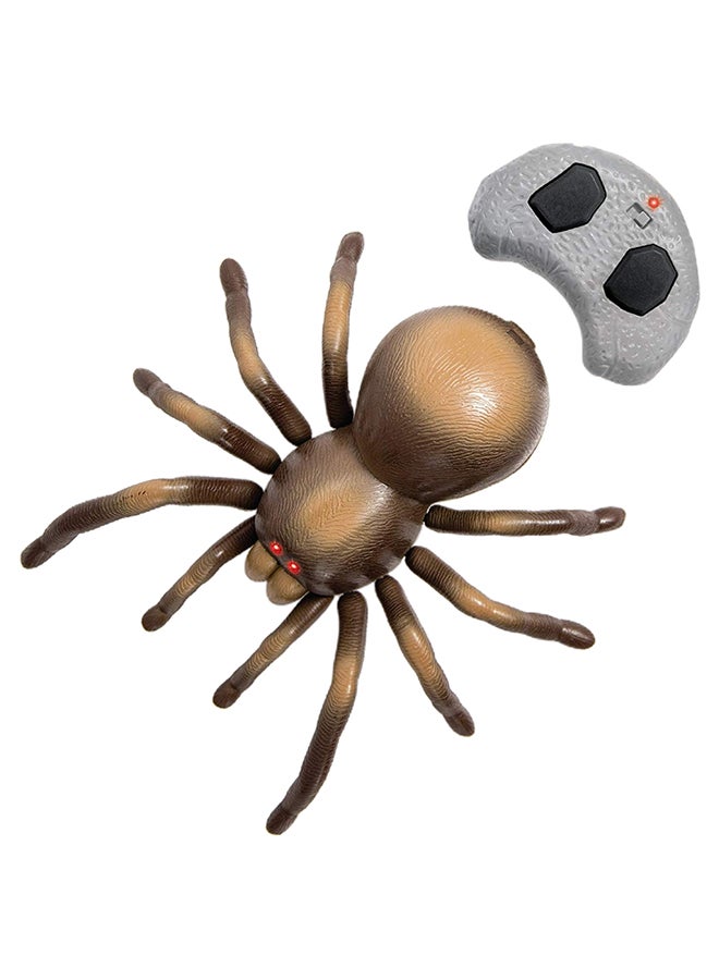 Discovery Kids - RC Moving Tarantula Spider - Image 1