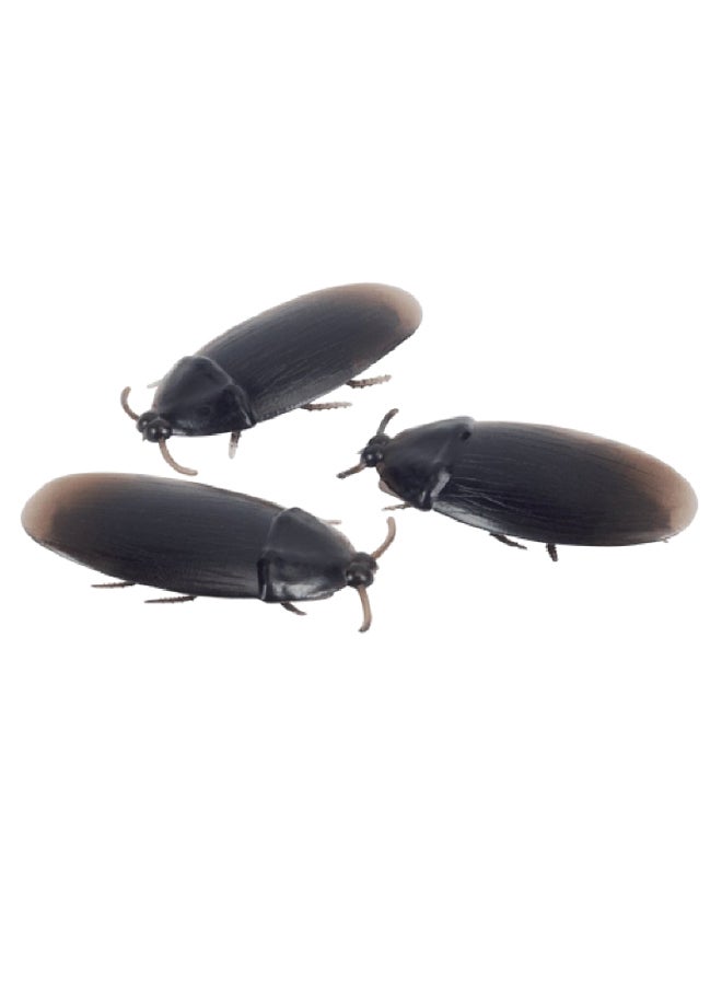 Loftus 12-Piece Fake Cockroach Set 2inch - Image 1