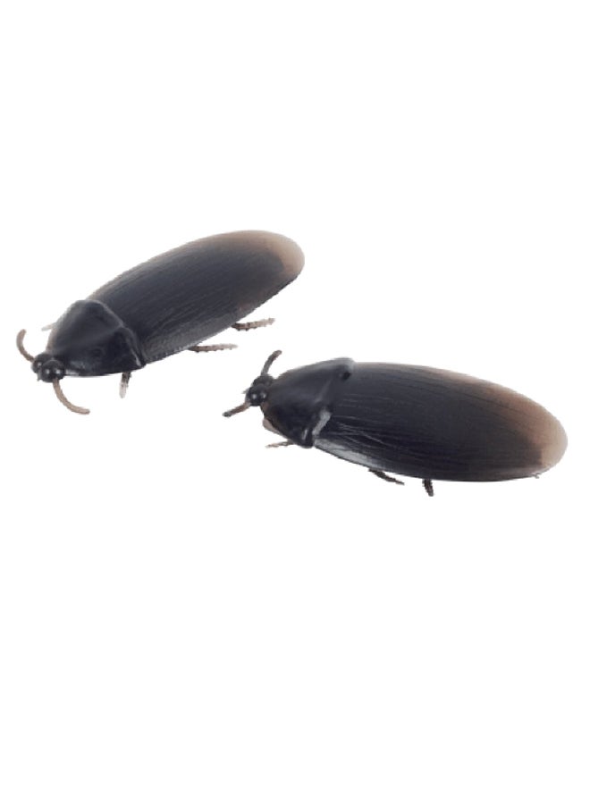Loftus 12-Piece Fake Cockroach Set 2inch - Image 2