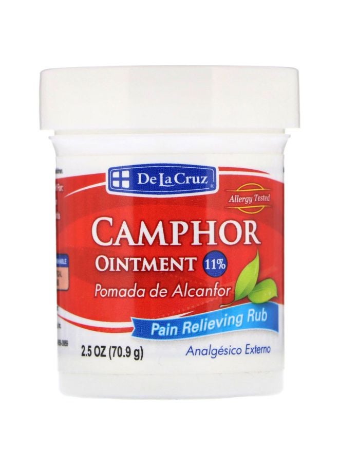 De La Cruz Camphor Ointment 