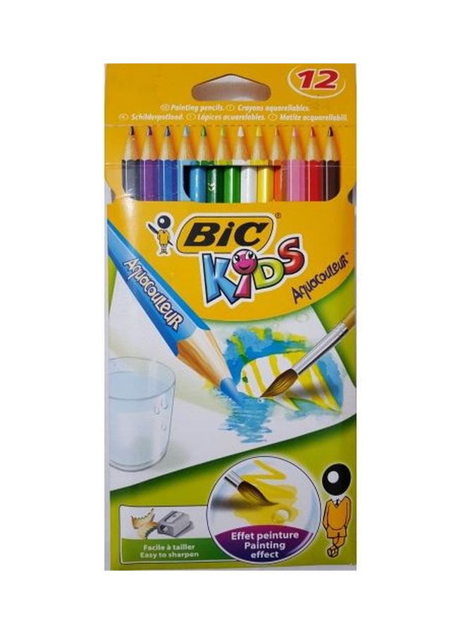 Bic 12 Pieces Aquacouleurs colour pencil Multicolour 