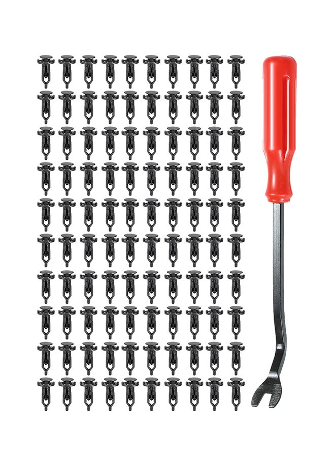 100-Piece Push-Type Bumper Fasteners Clip With Remover