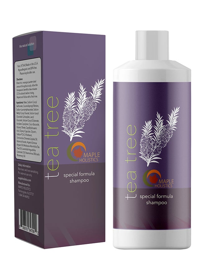 مايبل هوليستكس شامبو بزيت شجرة الشاي النقي 473ملليلتر - Image 1