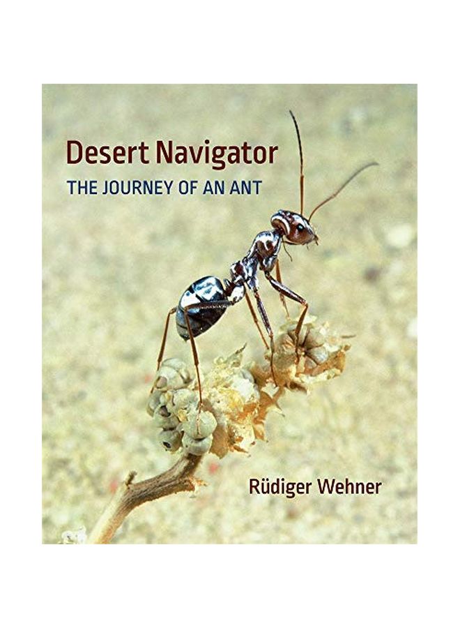 Desert Navigator: The Journey Of An Ant hardcover english - 28 February 2020 