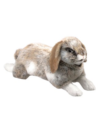Holland Lop Rabbit  Shape Plush Toy - v1582271204/N34410318A_1